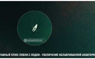 Фидерная рыбалка с лодки