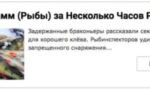 Ловля окуня на стример