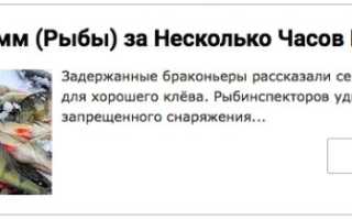 Ловля окуня на стример